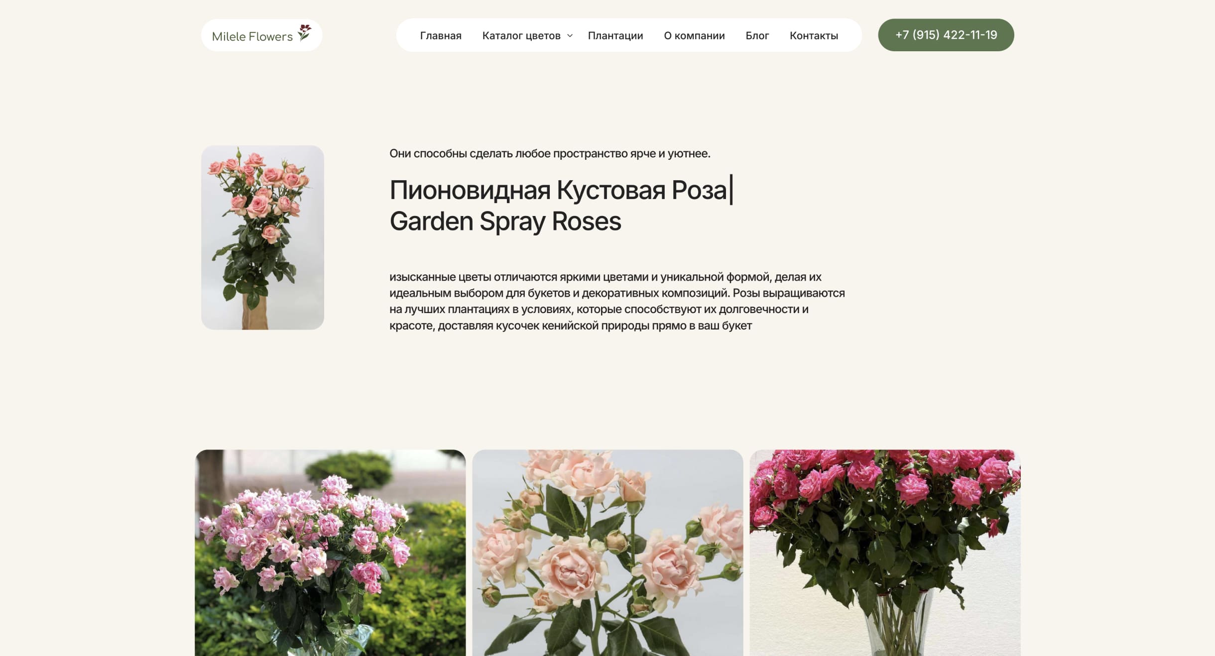 Group 1321315349