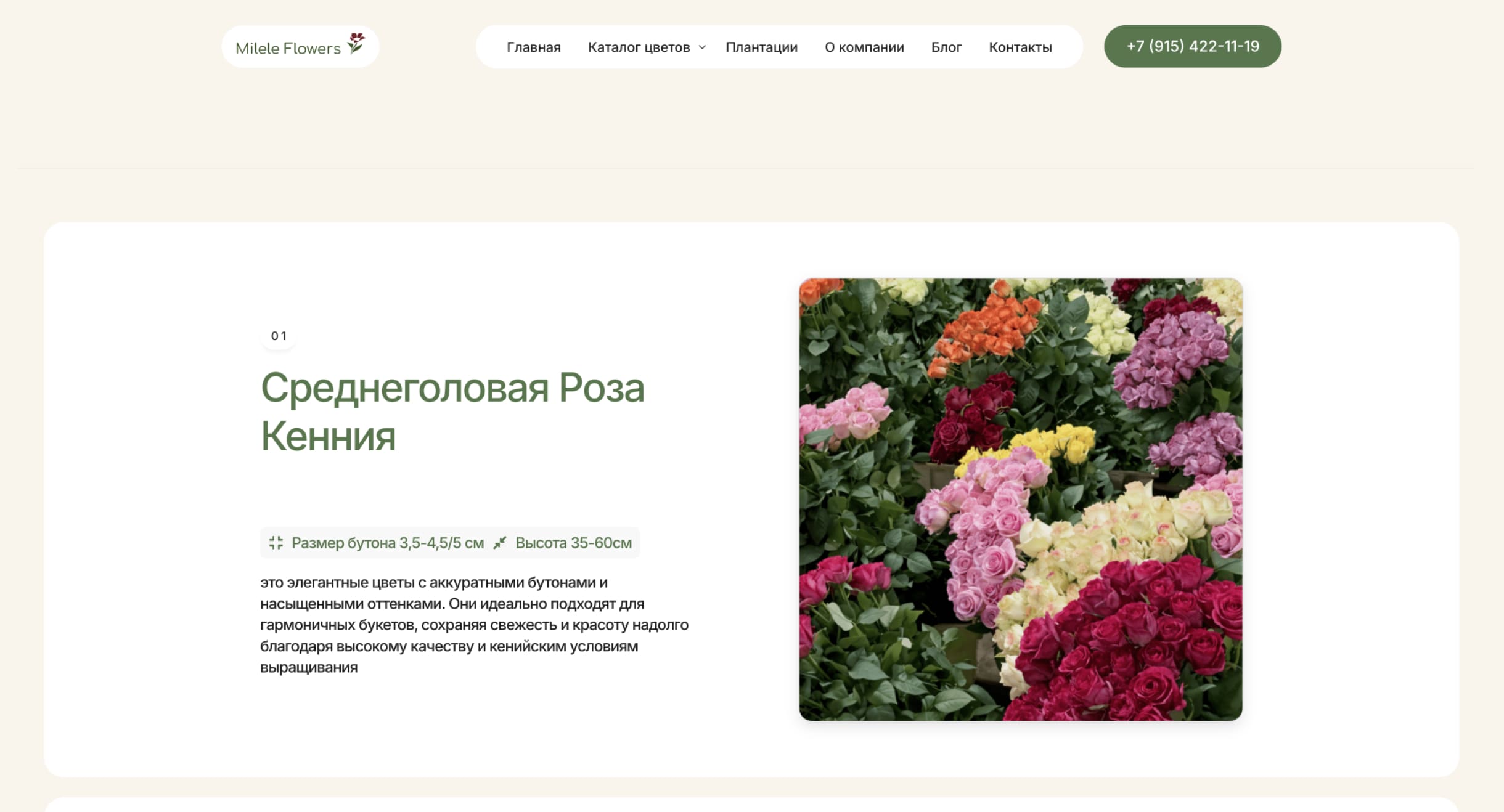 Group 1321315350